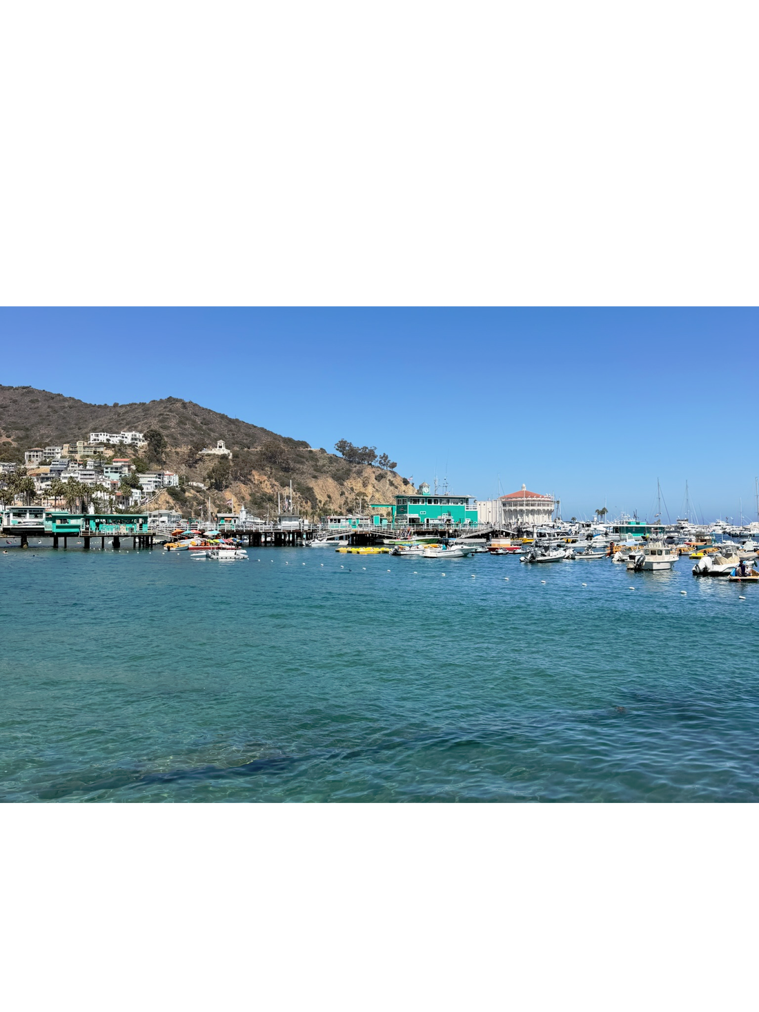 Catalina in a Day: Two Dives from Avalon